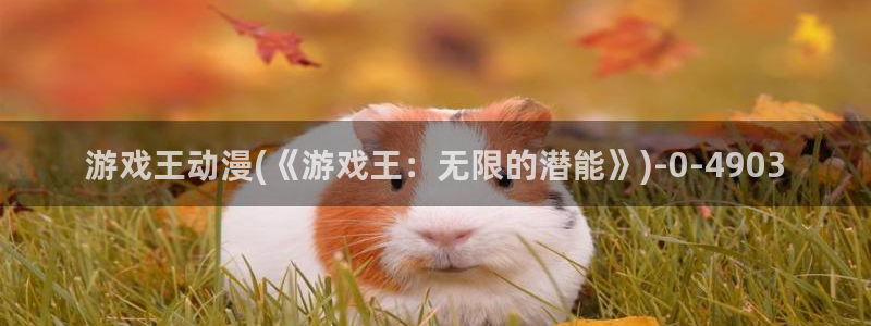 樱花动漫在线观看:游戏王动漫(《游戏王:无限的潜能》)